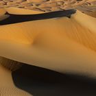 Liwa Wüste 13