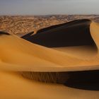 Liwa Wüste 14