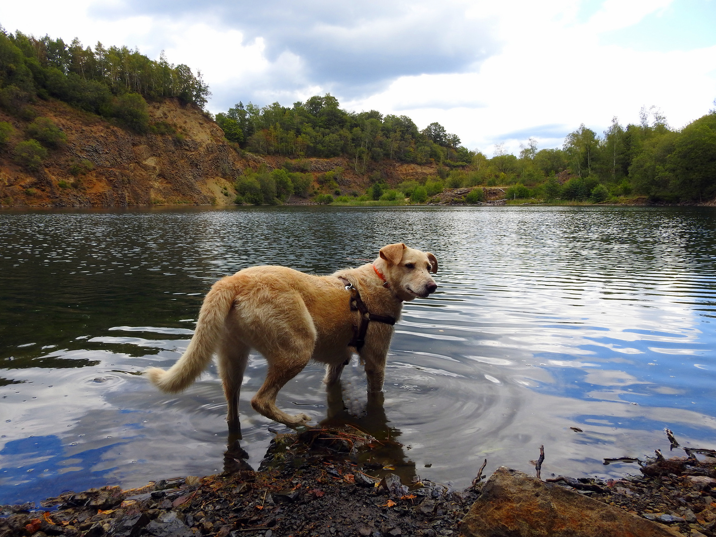 Liza am Silbersee