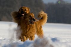 Liza und Finn