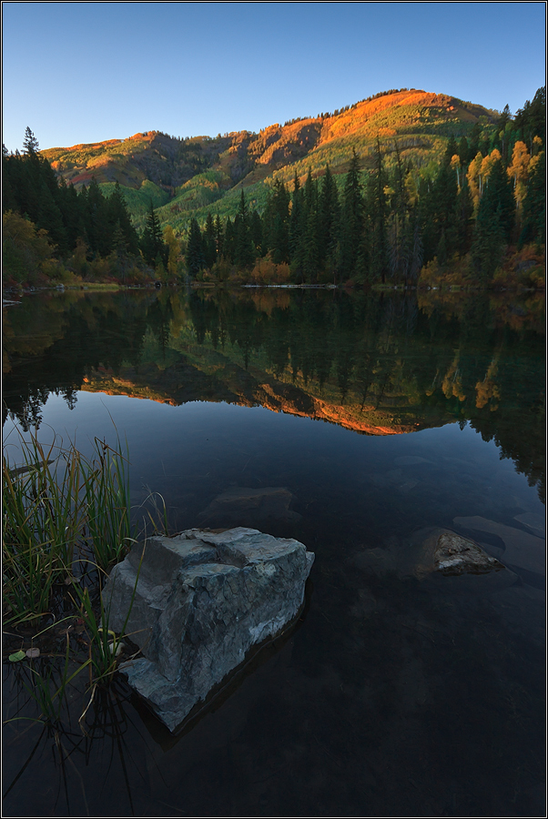 Lizard Lake