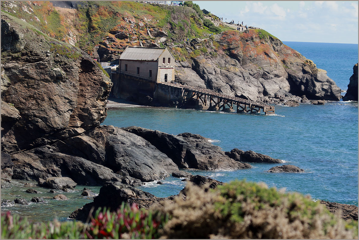 - Lizard Point 2 -