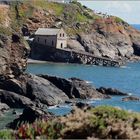 - Lizard Point 2 -