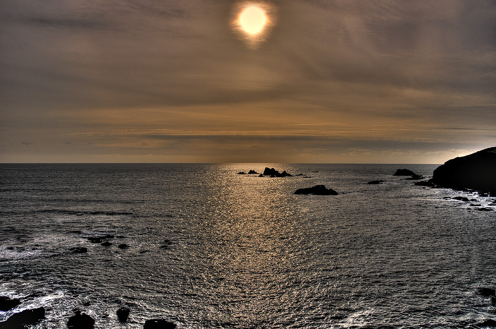 Lizard Point-2