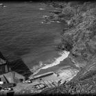 Lizard Point