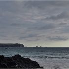 Lizard Point