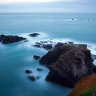 Lizard Point