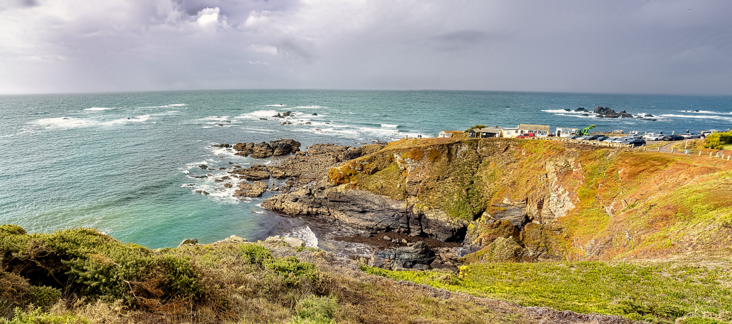 Lizard Point