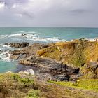 Lizard Point