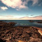 Lizard Point