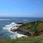 Lizard Point  to Cadgwith (1)