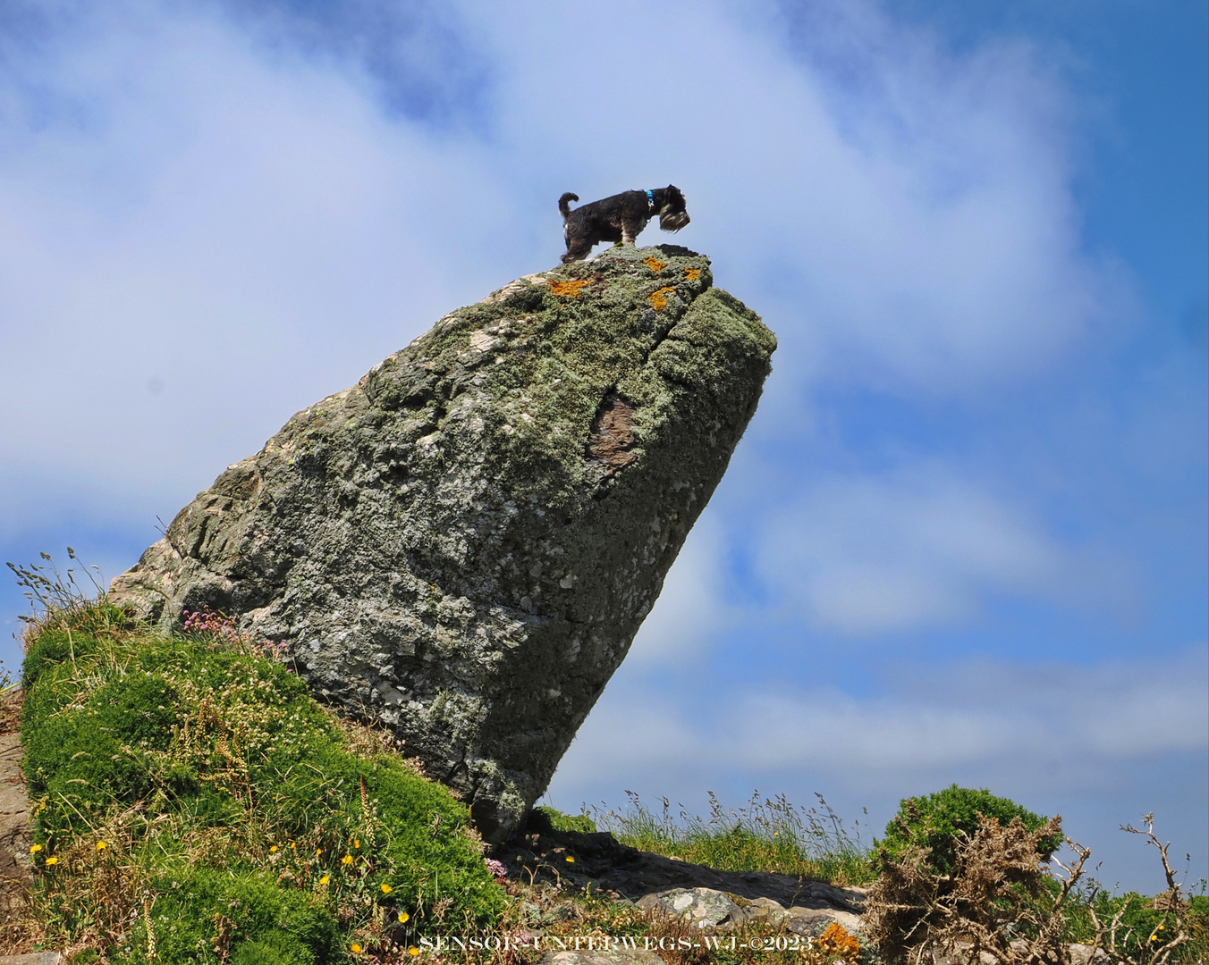 Lizard Point  to Cadgwith (5)