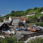 Lizard Point  to Cadgwith (8)