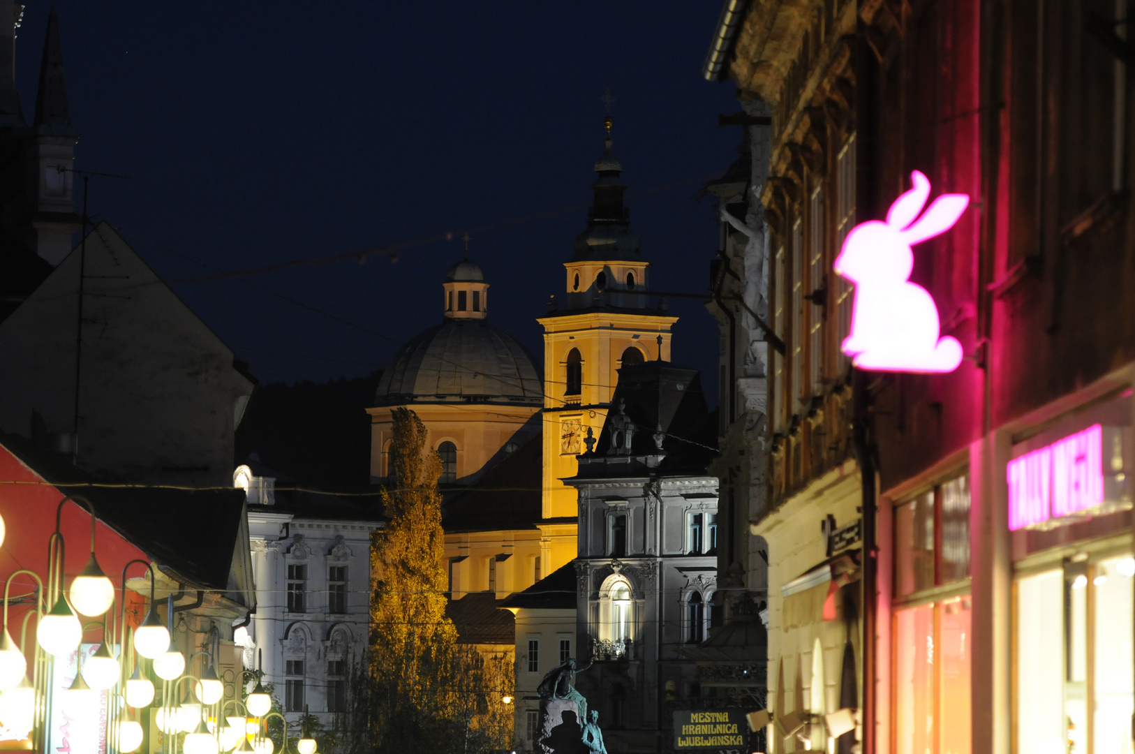 Ljubljana by night