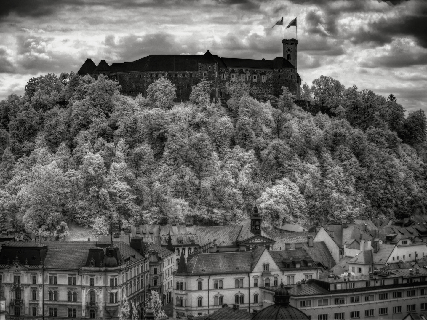 Ljubljana grad