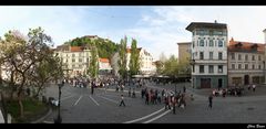 Ljubljanski grad (Burg von Ljubljana)