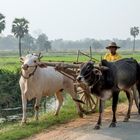 LKW am Wegrand in Burma