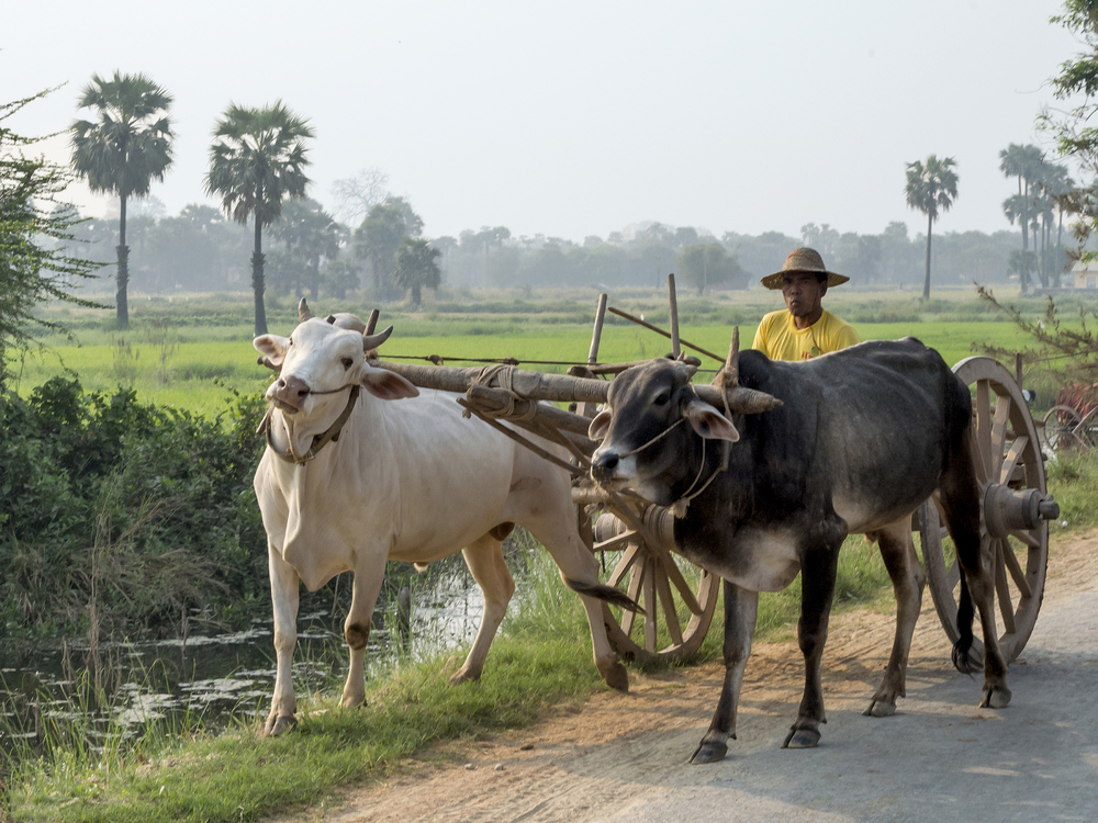 LKW am Wegrand in Burma