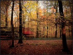 LKWwusch im herbstlichen Wald