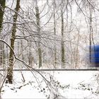 LKWwusch im winterlichen Wald