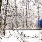 LKWwusch im winterlichen Wald