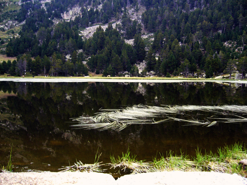 Llac de Meranges (2)