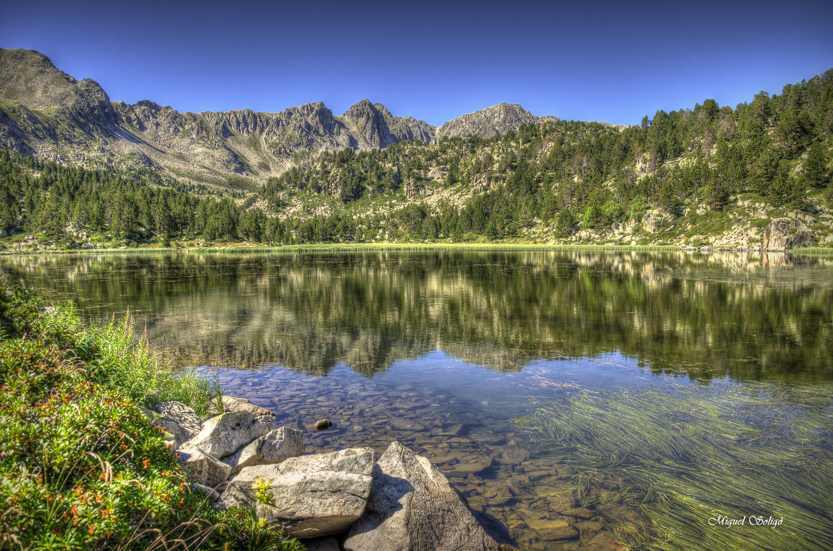 Llac dels pessons