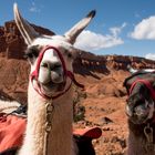 Llama Hike (Capitol Reef NP)