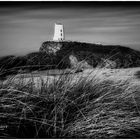 Llanddwyn Island 06