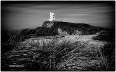 Llanddwyn Island 06