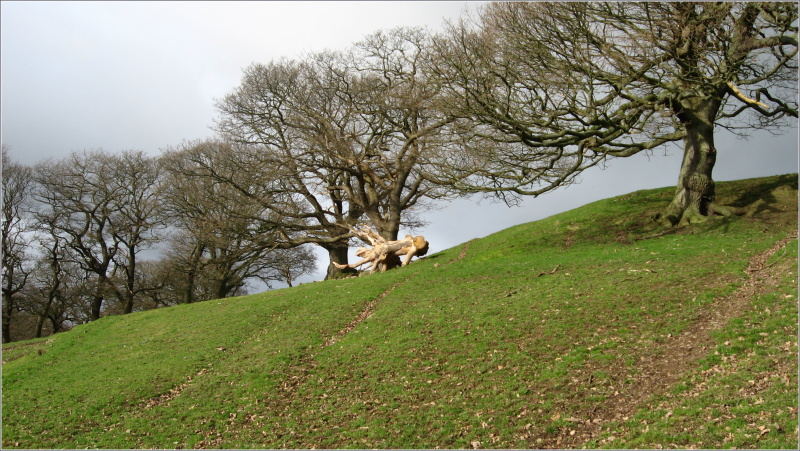 Llangollen (Wales)