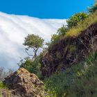 Llano de Las Cuevas und Cumbre vieja