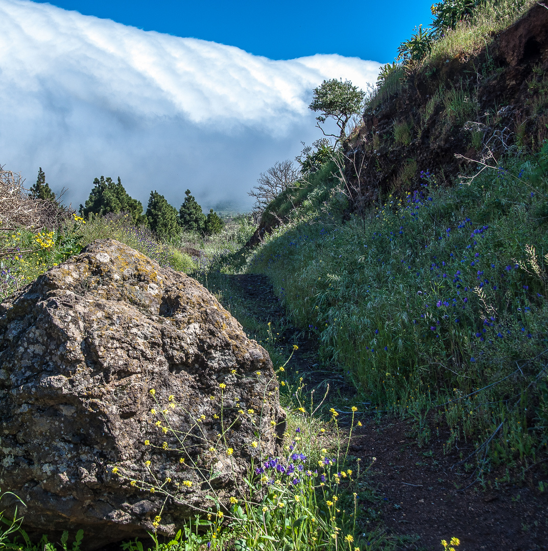 Llano de Las Cuevas und Cumbre vieja