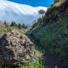 Llano de Las Cuevas und Cumbre vieja