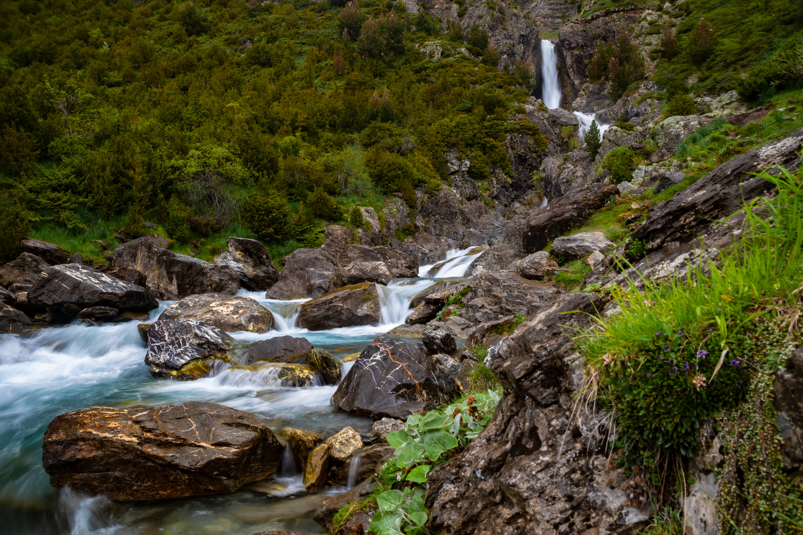 Llanos de La Larri Pyrenäen / Ordesa Nationalpark / Pineta-Tal!