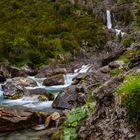 Llanos de La Larri Pyrenäen / Ordesa Nationalpark / Pineta-Tal!