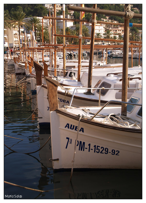 Llauds en Soller