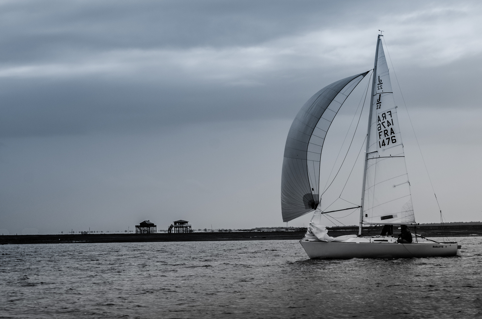 l'île aux oiseau. (bassin d'Arcachon)