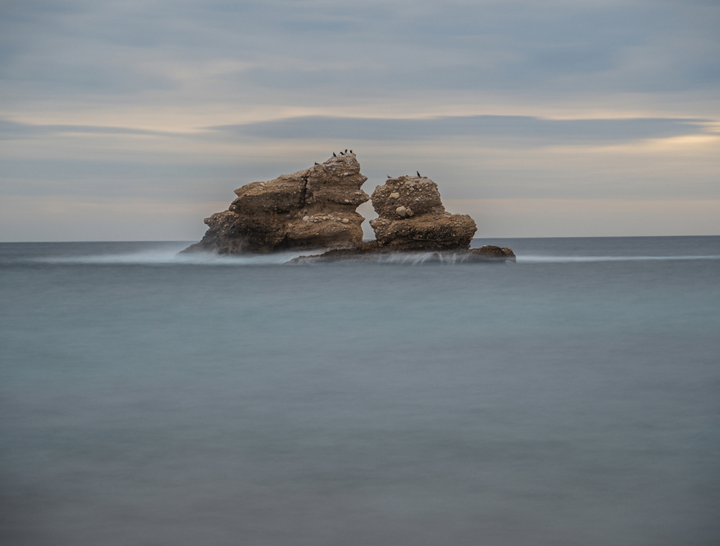 L'île aux oiseaux.