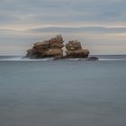 L'île aux oiseaux.