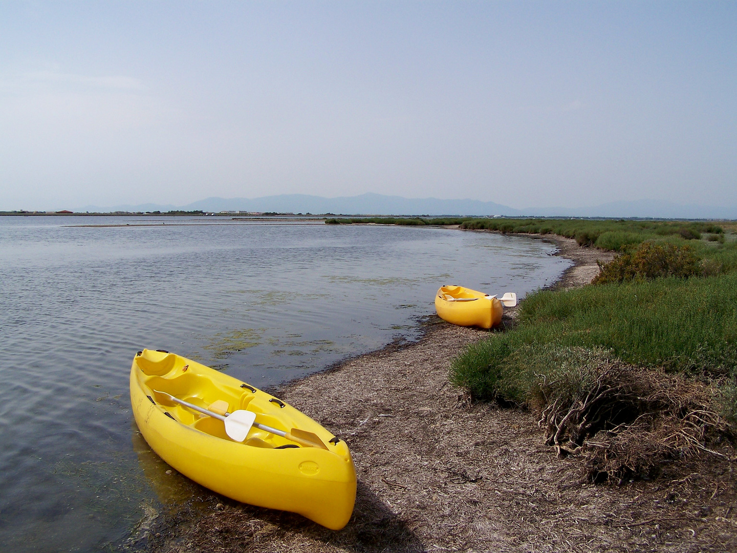 L'île aux oiseaux sur l'étang de Leucate.