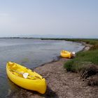 L'île aux oiseaux sur l'étang de Leucate.