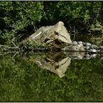 L'île aux tortues, le bain de soleil.