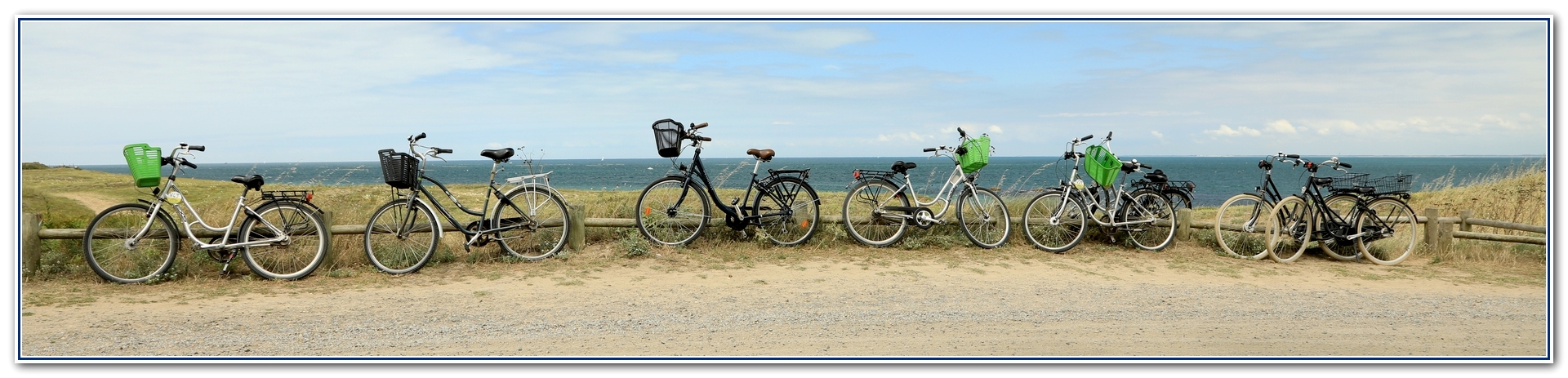 L'île aux vélos