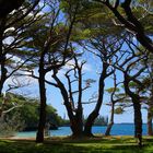 L’Île des Pins - Baie de Kanumera.