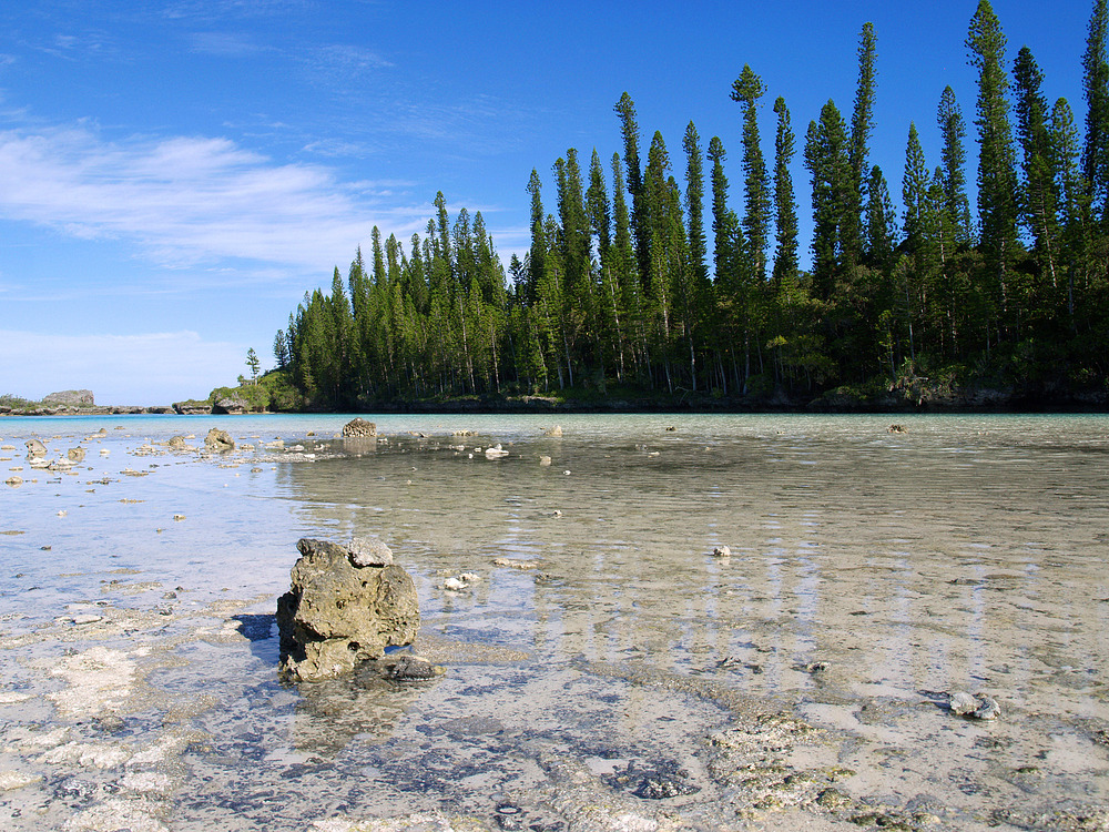 L’Île des Pins - La piscine naturelle - Die Pinieninsel – Der natürliche Swimmingpool