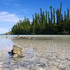 L’Île des Pins - La piscine naturelle - Die Pinieninsel – Der natürliche Swimmingpool