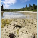 L’Île des Pins, l’île la plus proche du Paradis - Die Pinieninsel, die Insel nächst zum Paradies