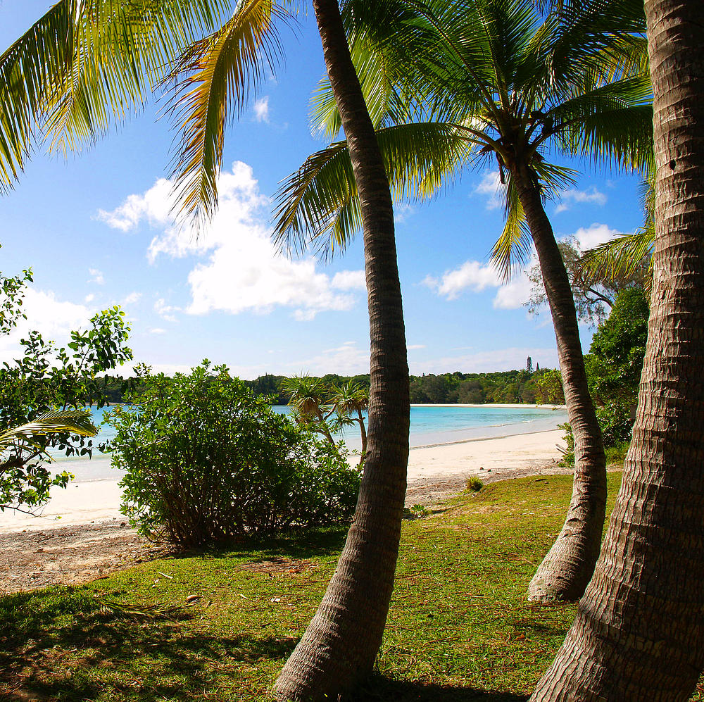 L’Île des Pins - Vue sur un bord de mer - Die Pinieninsel – Meeresblick