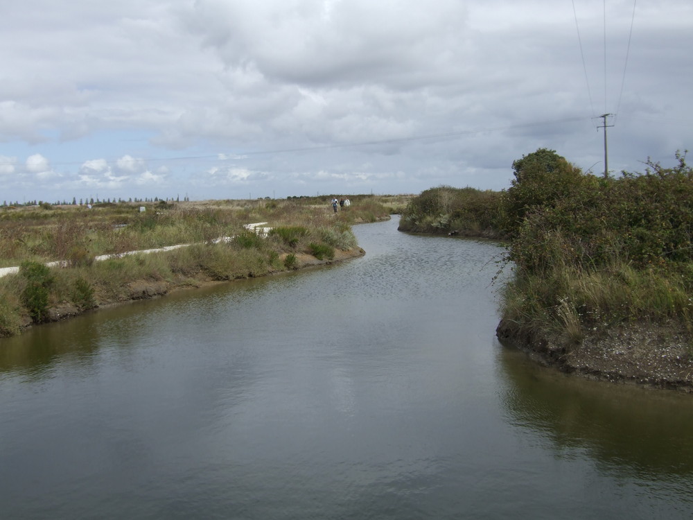 L'île d'Oléron en aout de Karinette 